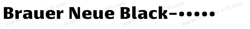 Brauer Neue Black字体转换